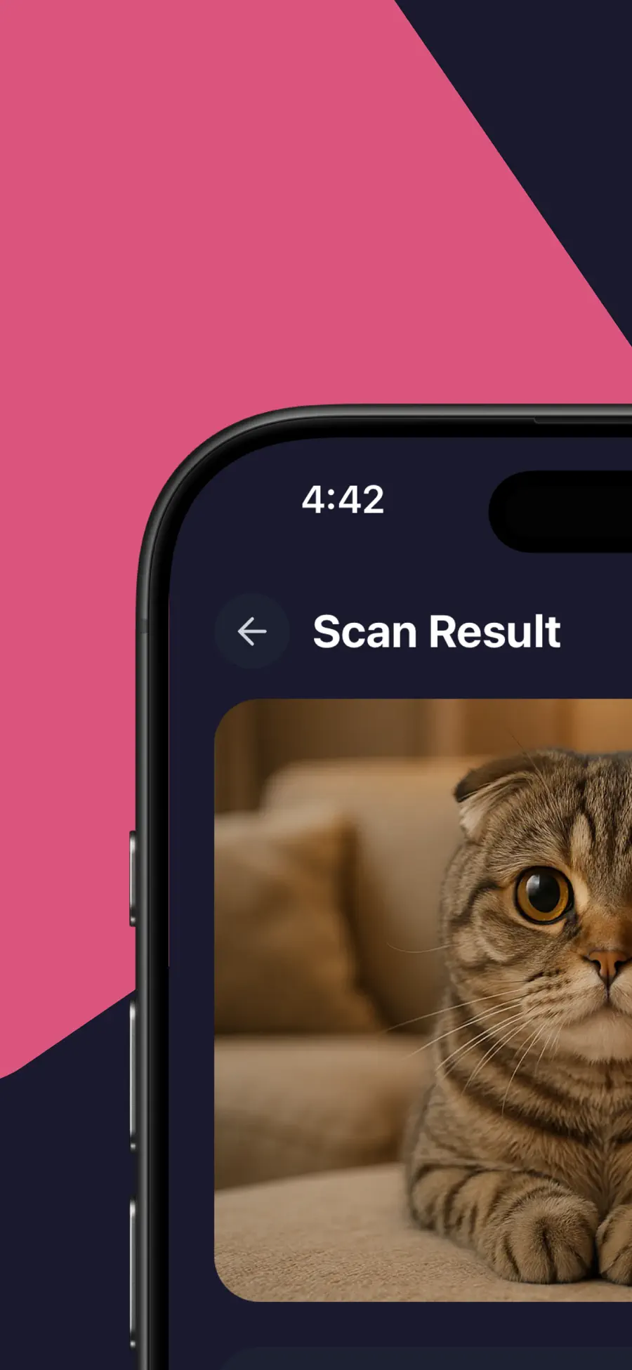 Cat Breed Identifier AI cat photo result, left half of the App Store panorama