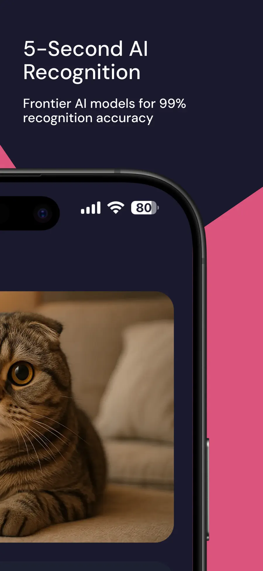 Cat Breed Identifier AI cat photo result, right half of the App Store panorama