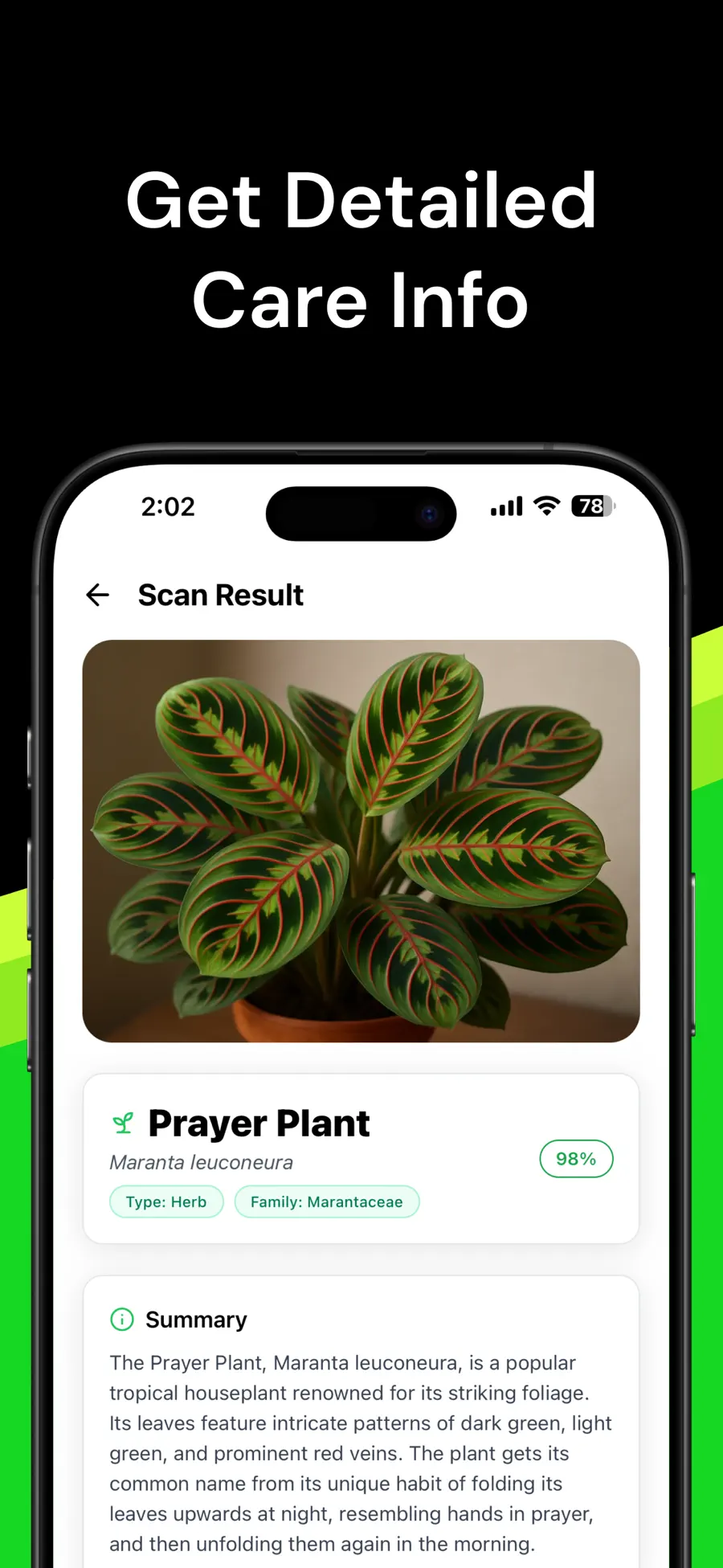 Plant Identifier prayer plant profile and care details
