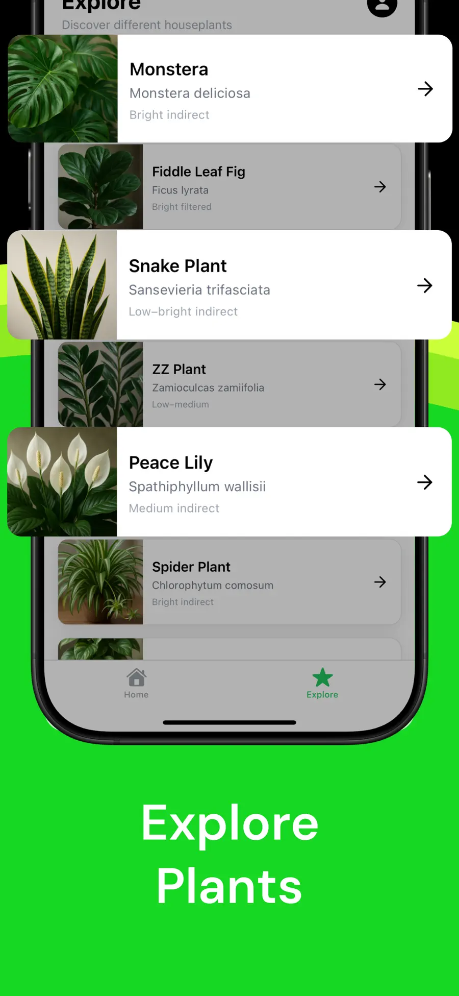 Plant Identifier Explore list of plant names