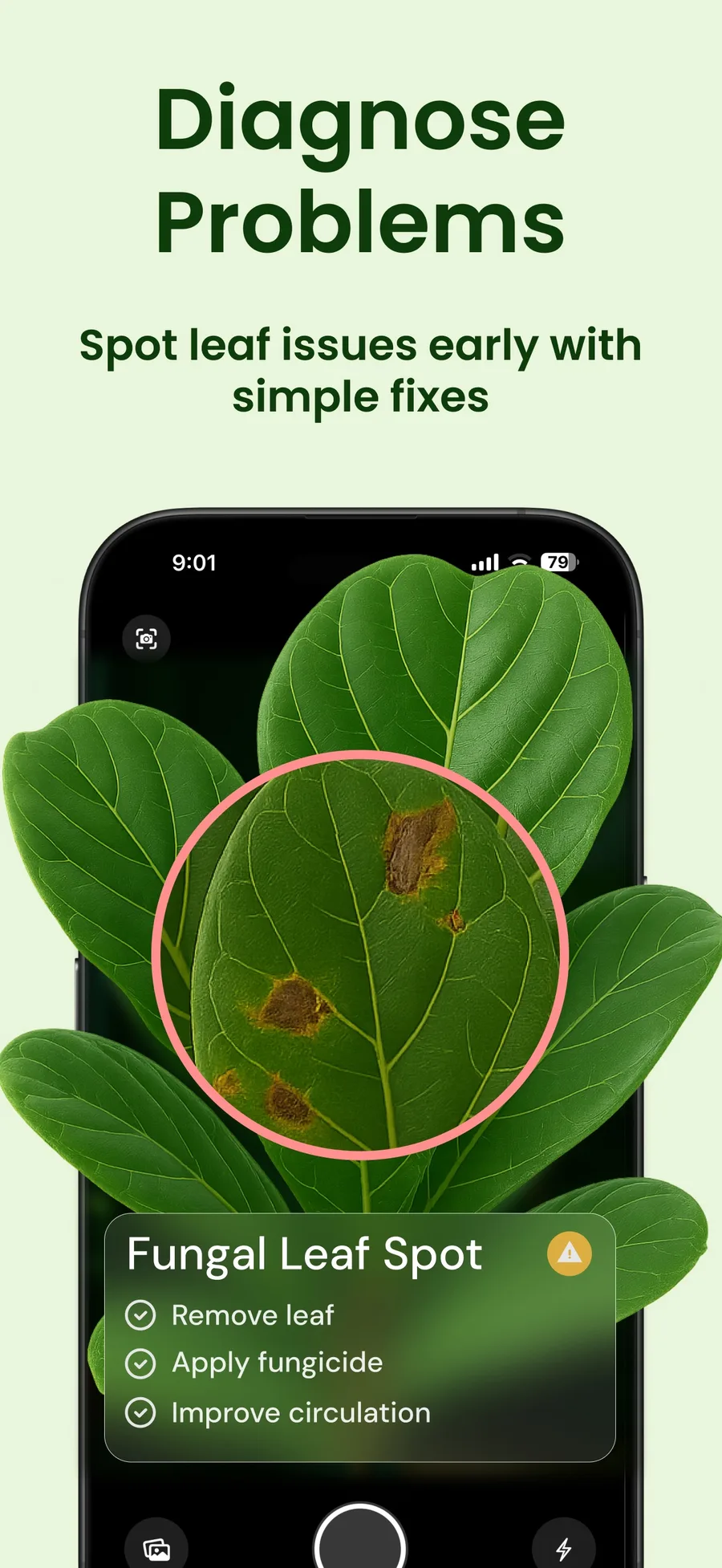Planthy diagnosis screen showing a leaf photo, a fungal leaf spot suggestion and care steps