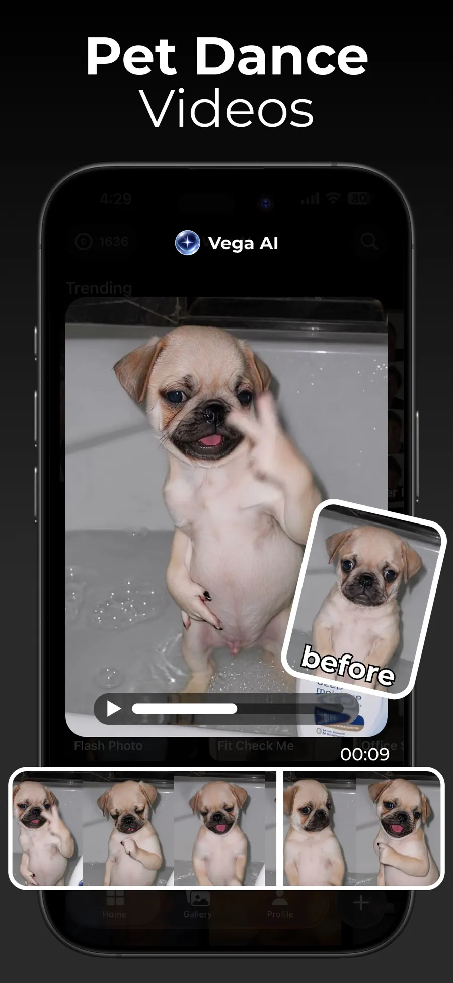 Vega AI pet dance video template